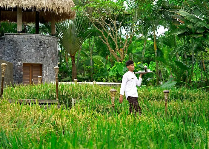 Lalasa * Canggu